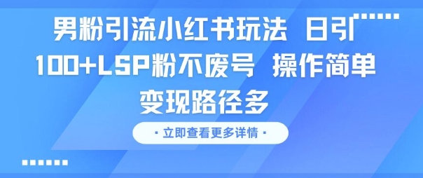 男粉引流小红书玩法，日引100+LSP粉不废号，操作简单，变现路径多-鼎铸网