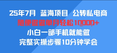 25年7月蓝海项目，公转私电商，随便做做单月轻松1w，小白一部手机就能做，完整实操步骤10分钟学会-鼎铸网