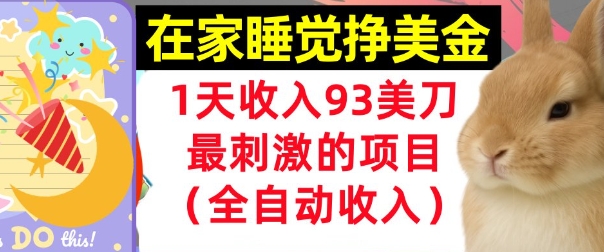 在家挣美金，1天收入93刀，最刺激的项目，0门槛，自动收入(首次公开)-鼎铸网