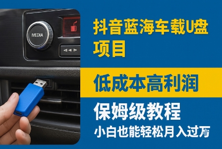 抖音蓝海车载U盘项目，低成本高利润保姆级教程，小白也能轻松月入过W-鼎铸网