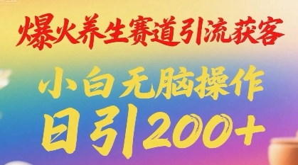 爆火养生赛道引流获客，小白无脑操作，日引200+-鼎铸网
