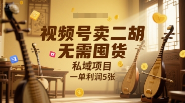 视频号卖二胡，无需囤货，私域项目，一单利润5张-鼎铸网