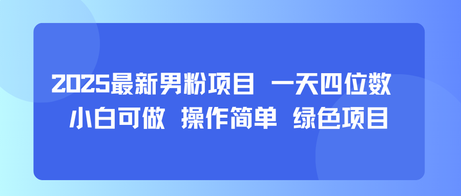 2025最新男粉项目 一天四位数 小白可做 操作简单 绿色项目-鼎铸网