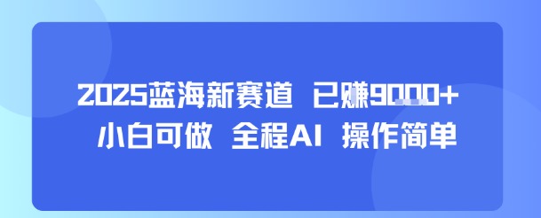 2025蓝海新赛道 已挣9k+ 小白可做 全程AI 操作简单-鼎铸网