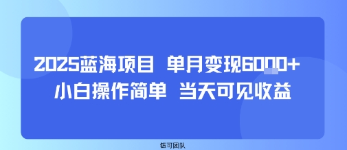 2025蓝海项目 单月变现6k+ 小白操作简单 当天可见收益-鼎铸网