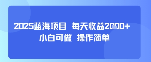 2025蓝海项目 每天收益多张 小白可做 操作简单-鼎铸网