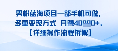 8月新男粉蓝海项目一部手机可做，多重变现方式 月入4W+【详细操作流程拆解】-鼎铸网