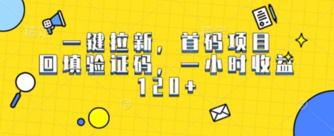 一键拉新，首码项目，回填验证码，一小时收益1张-鼎铸网