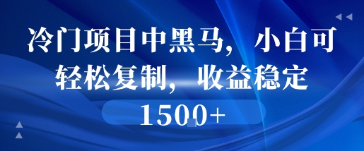 冷门项目中黑马，小白可轻松复制，收益稳定1.5k-鼎铸网