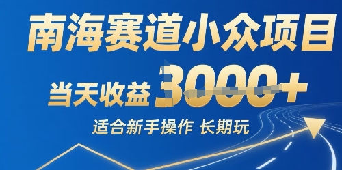 南海赛道小众项目，当天收益1k+适合新手操作可以长期玩-鼎铸网