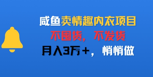 咸鱼卖情趣内衣项目，不囤货，不发货，月入3W+，悄悄做-鼎铸网