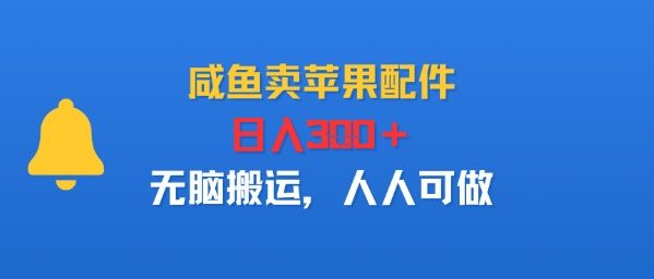咸鱼卖苹果配件，日入3张+，无脑搬运，人人可做-鼎铸网