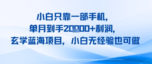 小白只靠一部手机，单月到手2W+利润，玄学蓝海项目，小白无经验也可做-鼎铸网
