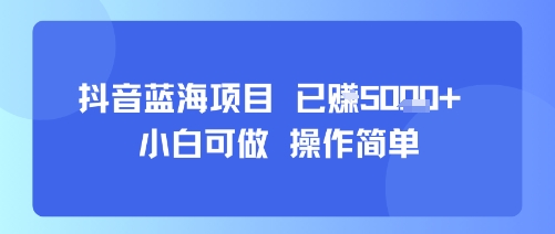 抖音蓝海项目，小白可做，操作简单，可批量制作，已挣5k+-鼎铸网