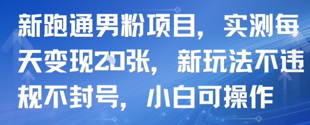 新跑通男粉项目，实测每天变现多张，新玩法不违规不封号，小白可操作-鼎铸网
