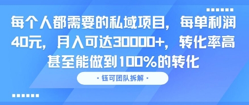 每个人都需要的私域项目，每单利润40米，月入可达3W+，转化率高 甚至能做到100%的转化-鼎铸网