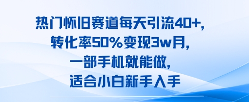 热门怀旧赛道每天引流40+，转化率50%月变现3w，一部手机就能做，适合小白新手入手-鼎铸网