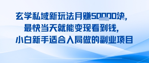 玄学私域新玩法月入1W+，最快当天就能变现看到米，小白新手适合入局做的副业项目-鼎铸网