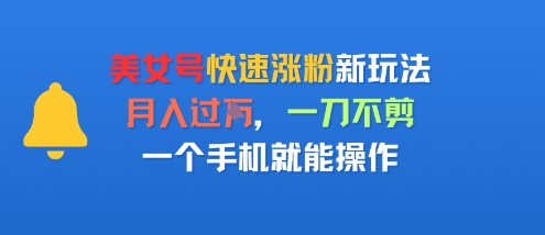 美女号快速涨粉新玩法，月入过W，一刀不剪，一个手机就能操作-鼎铸网