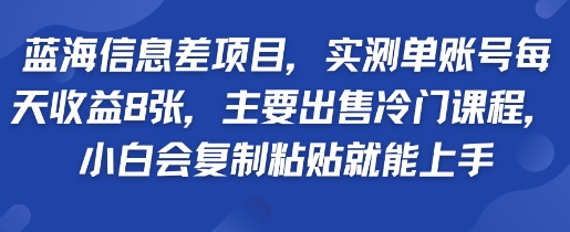蓝海信息差项目，实测单账号每天收益多张，主要出售冷门课程，小白会复制粘贴就能上手-鼎铸网