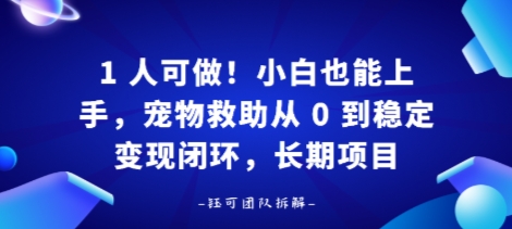 1人可做！小白也能上手，宠物救助从 0 到稳定变现闭环，长期项目-鼎铸网