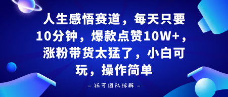 人生感悟赛道，每天只要十分钟，爆款点赞10W+，涨粉带货太猛了，小白可玩，操作简单-鼎铸网