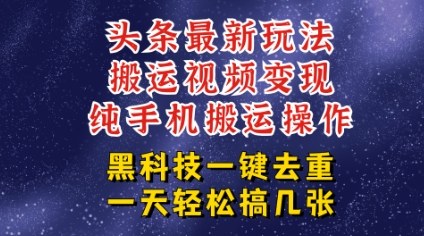 今日头条纯搬运玩法，轻松过原创不违规，轻松日入三位数，稳的很-鼎铸网