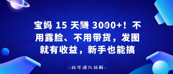 宝妈15天賺3k+！不用露脸、不用带货，发图就有收益，新手也能搞-鼎铸网