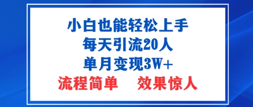 小白也能轻松上手的宝妈项目，每天引流20人，单月变现3W+，流程简单，效果惊人-鼎铸网