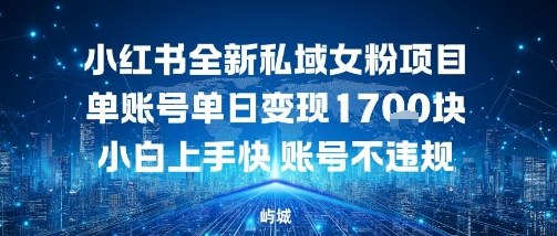 小红书全新私域女粉项目单账号单日变现多张，小白上手快账号不违规建议准备多账号操作-鼎铸网