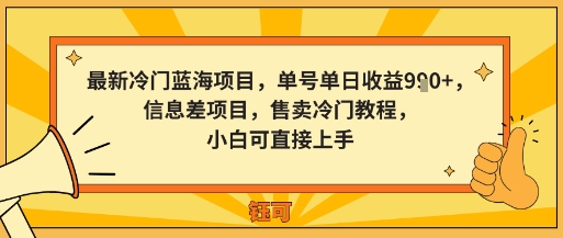最新冷门蓝海项目，单号单日收益多张，信息差项目，售卖冷门教程，小白可直接上手-鼎铸网