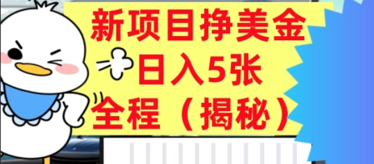 最新挣美金项目，日入5张，全程揭秘，小白也能轻松入手，长久被动收入-鼎铸网