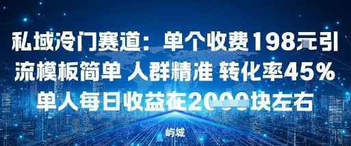 私域冷门赛道：单个收费198米引流模板简单人群精准转化率45%单人每日收益在1k+-鼎铸网
