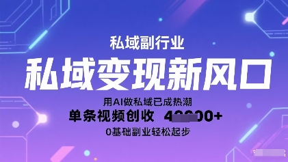 私域变现新风口：用AI做私域已成热潮，单条视频创收1k+，0基础副业轻松起步-鼎铸网