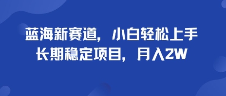 蓝海新赛道，小白轻松上手，长期稳定项目，月入2W-鼎铸网