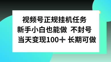 视频号正规挂播任务，有手就行不违规，轻松日入1张-鼎铸网