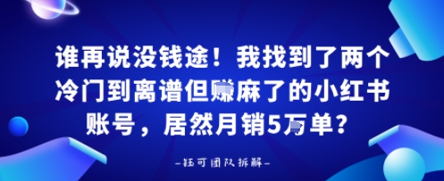 谁再说没钱途！我找到了两个冷门到离谱但賺麻了的小红书账号，居然月销5W单？-鼎铸网