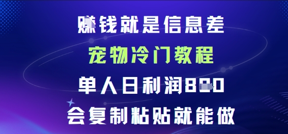 賺钱就是信息差宠物冷门教程，单人日利润日8张会复制粘贴就能做-鼎铸网
