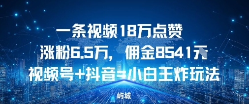 一条视频18W点赞涨粉6.5W，佣金8541视频号+抖音=小白王炸玩法-鼎铸网