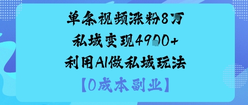 单条视频涨粉8W私域变现1k+利用AI做私域玩法-鼎铸网