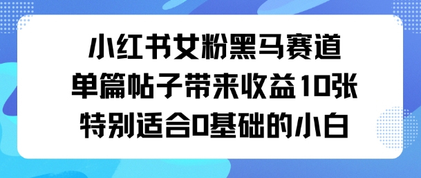 小红书女粉黑马赛道单篇帖子带来收益10张特别适合0基础的小白-鼎铸网
