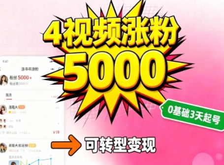 小红书暴力起号方法，四个视频涨粉5000，起号后可转型，操作简单，对小白友好-鼎铸网