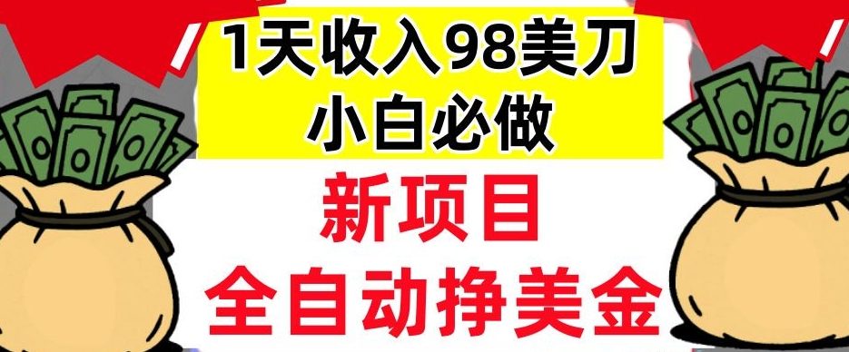 新项目，全自动挣美刀，1天收入98刀，0门槛，适合新人的被动收入（最终版本）-鼎铸网