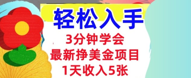 最新挣美金项目，日入5张，3分钟学会，小白轻松入手（长久的被动收入）-鼎铸网