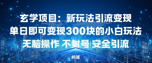 玄学项目：新玩法引流变现单日即可变现3张的小白玩法无脑操作不封号安全引流-鼎铸网