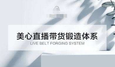直播带货锻造体系课，5G时代美心一站式帮你开启直播带货之路【音频】-鼎铸网