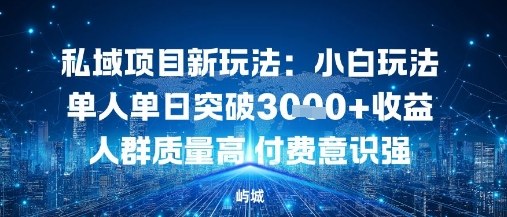 私域项目新玩法：小白玩法单人单日突破1k收益人群质量高付费意识强-鼎铸网