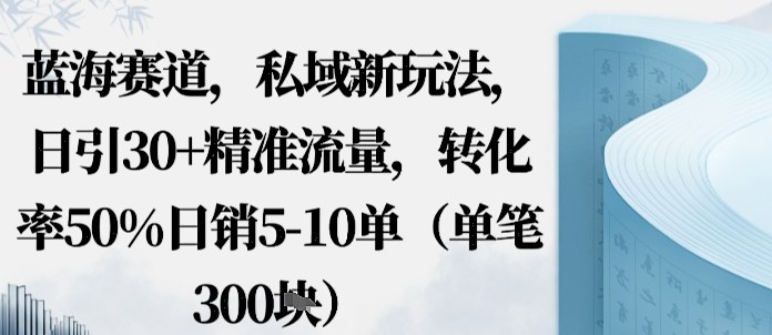 蓝海赛道，私域新玩法，日引30+精准流量，转化率50%日销5-10单（单笔3张）-鼎铸网