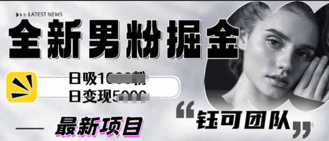 全新男粉掘金思路日吸粉100+日变现1k+-鼎铸网