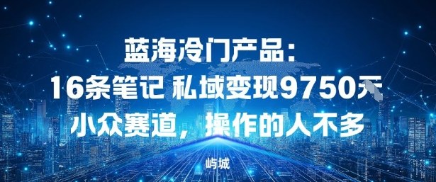 蓝海冷门产品：16条笔记私域变现9750米，小众赛道，操作的人不多-鼎铸网
